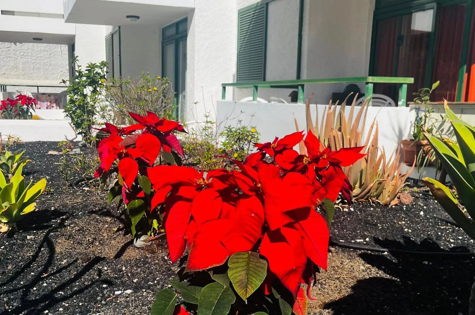 Beach And Yumbo Cozy Home Maspalomas Spanyolország